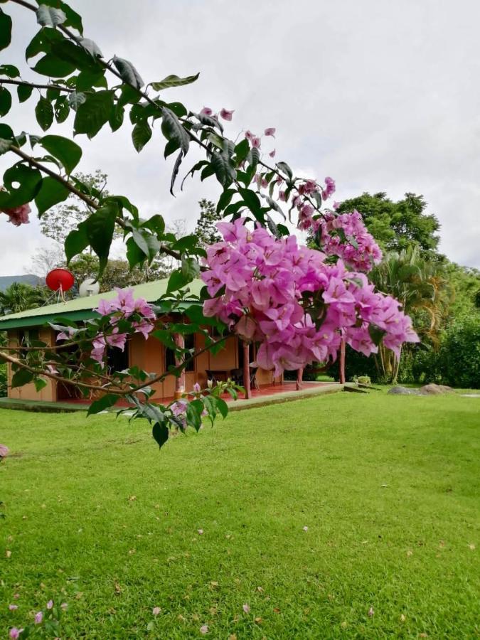 Casita El Jardin Villa Bijagua Exteriör bild