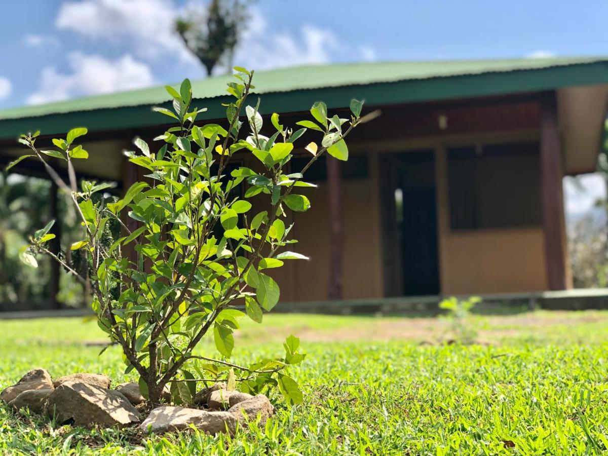Casita El Jardin Villa Bijagua Exteriör bild