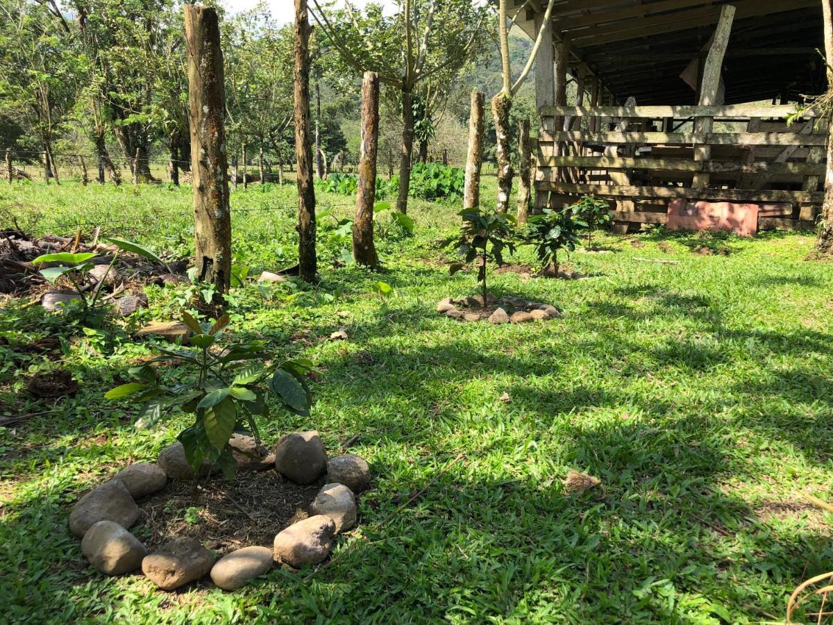 Casita El Jardin Villa Bijagua Exteriör bild